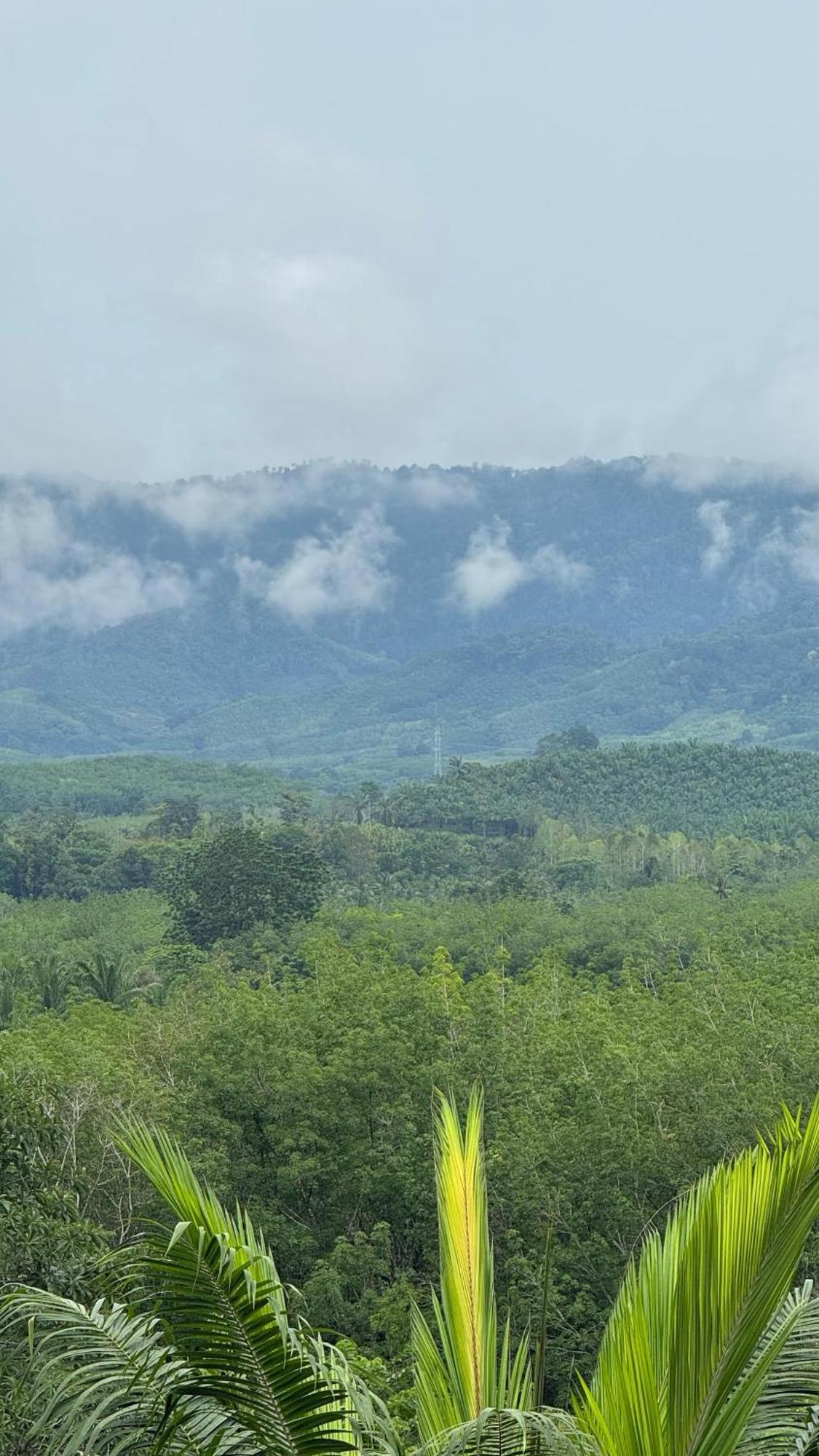 Phang Nga Viewpoint Bagian luar foto