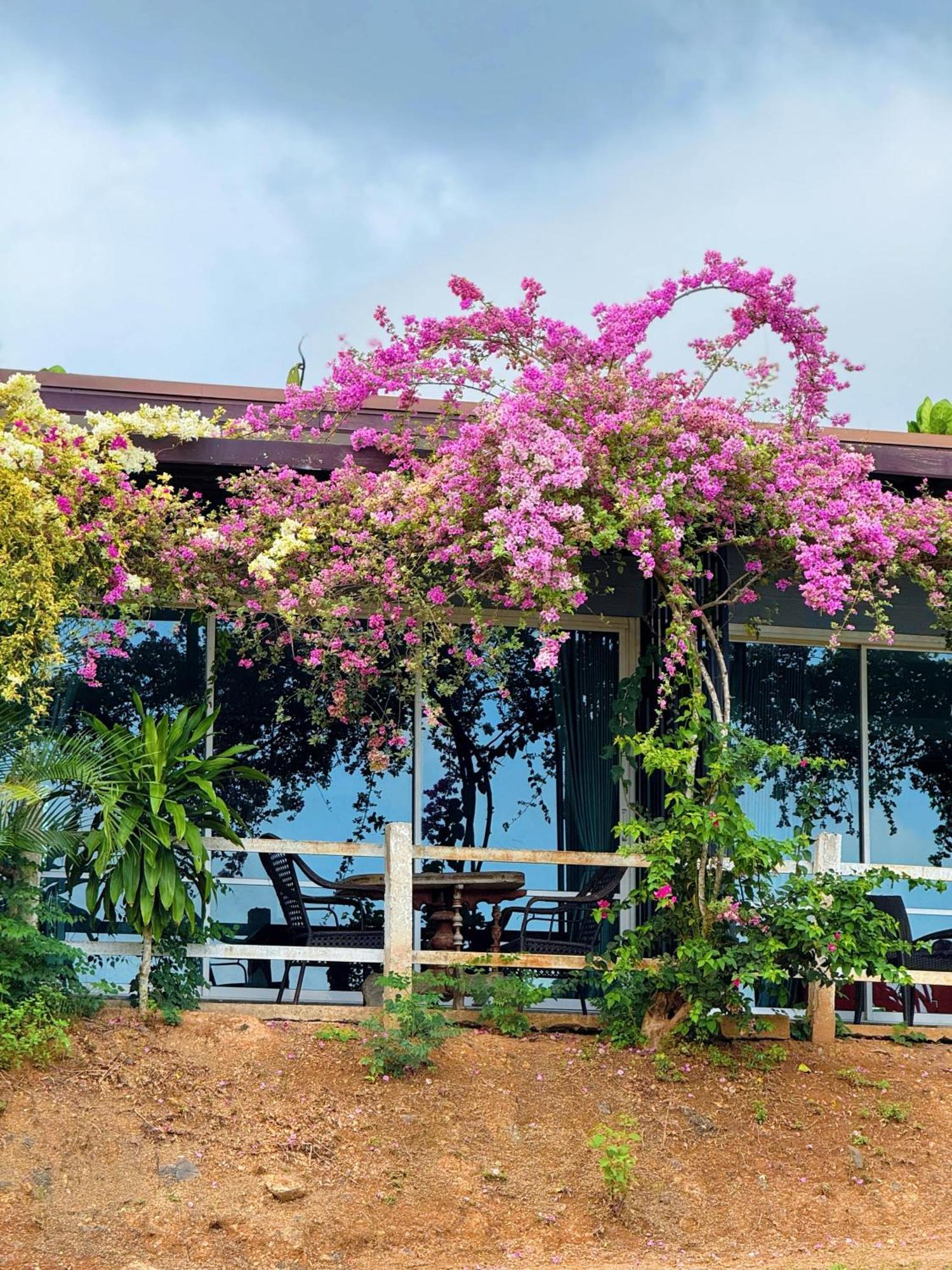 Phang Nga Viewpoint Bagian luar foto
